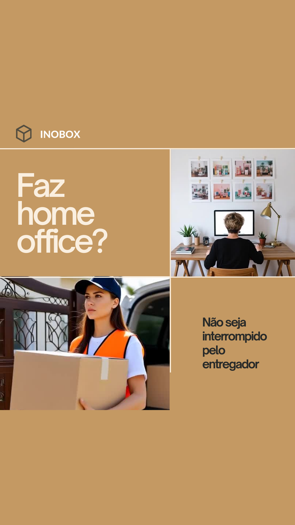 Plano Básico Flex